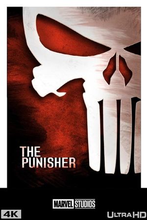 The Punisher's poster