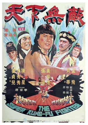 The Super Kung-Fu Fighter's poster image