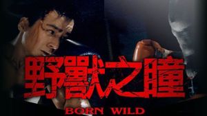 Born Wild's poster