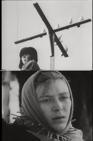 The Petrukha Family's poster