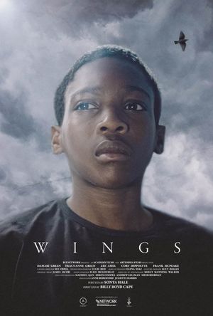 Wings's poster