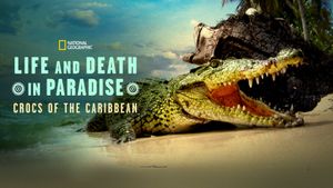 Life and Death in Paradise: Crocs of the Caribbean's poster