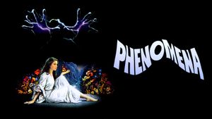 Phenomena's poster