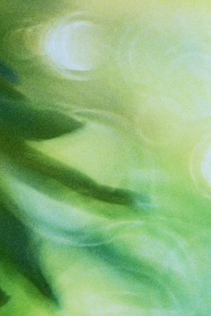 Glide of Transparency's poster