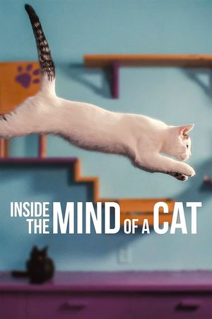 Inside the Mind of a Cat's poster image