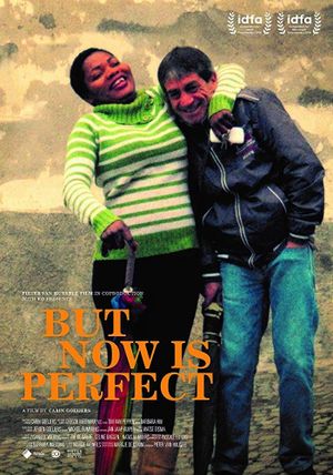 But Now Is Perfect's poster