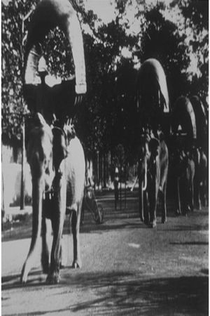 Elephant March in Phnom Penh's poster