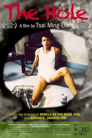 The Hole's poster
