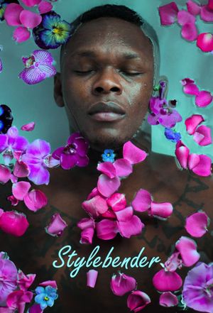 Stylebender's poster image