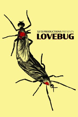 Lovebug's poster