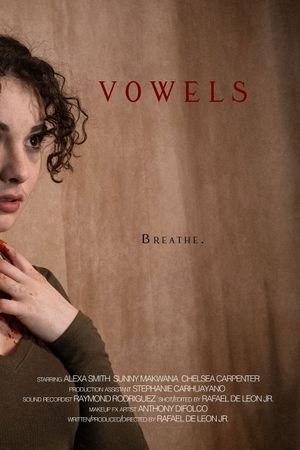 Vowels's poster