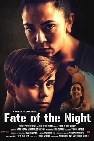 Fate of the Night's poster image