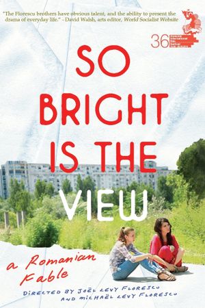 So Bright Is the View's poster