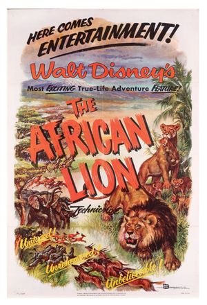 The African Lion's poster