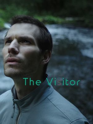 The Visitor's poster