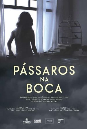 Pássaros Na Boca's poster