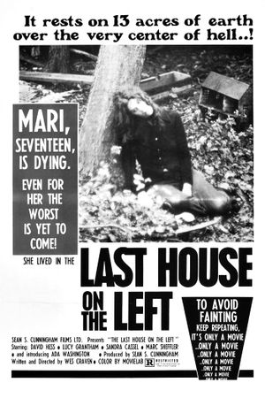 The Last House on the Left's poster