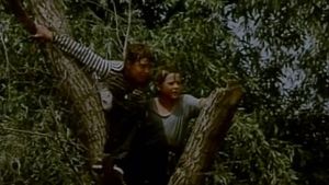 Alarm in the Delta's poster