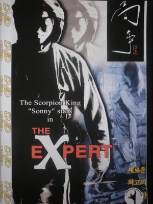 The Expert's poster