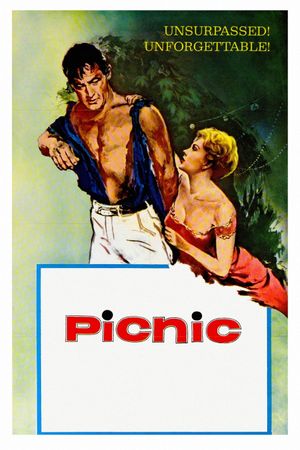 Picnic's poster
