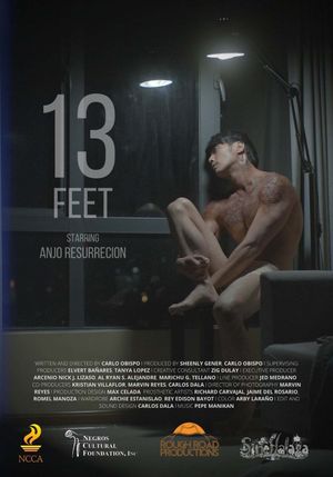 13 Feet's poster