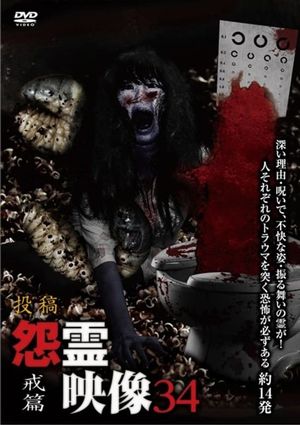 Posted Grudge Spirit Footage Vol.34: Warning Edition's poster