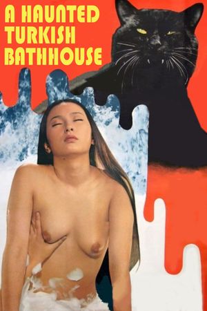 A Haunted Turkish Bathhouse's poster image