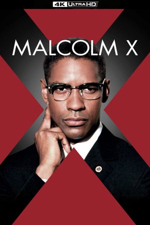 Malcolm X's poster