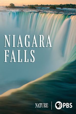 Niagara Falls's poster