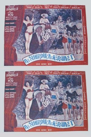 Ne Sihirdir Ne Keramet's poster
