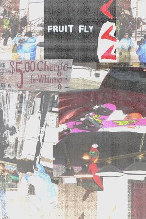 Fruit Fly's poster