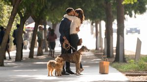 Dog Days's poster