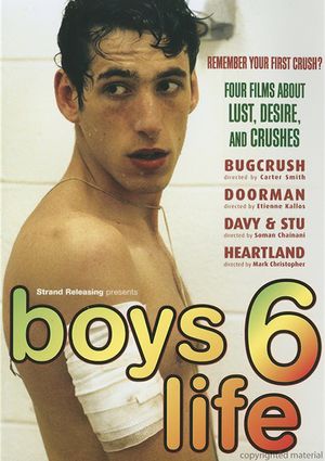 Boys Life 6's poster