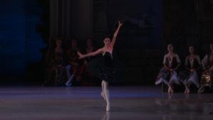 Swan Lake's poster