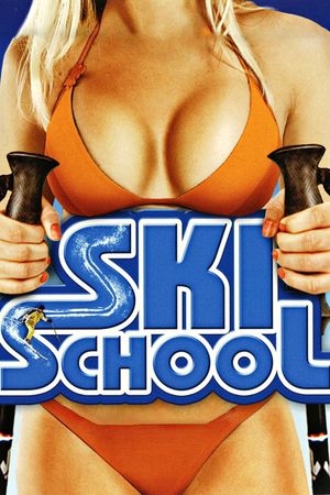 Ski School's poster