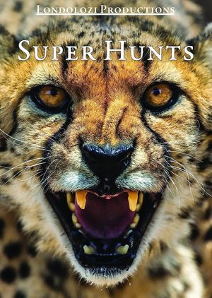 Super Hunts, Super Hunters's poster image