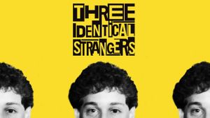 Three Identical Strangers's poster