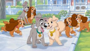 Lady and the Tramp II: Scamp's Adventure's poster