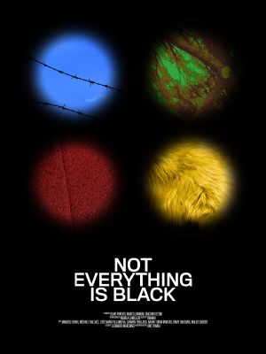 Not Everything is Black's poster