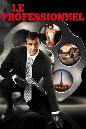 The Professional's poster