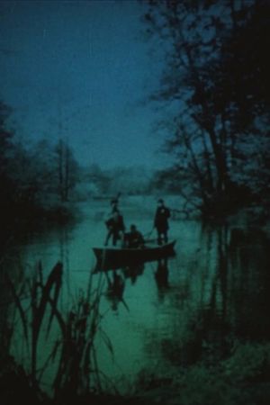 Videokaseta's poster