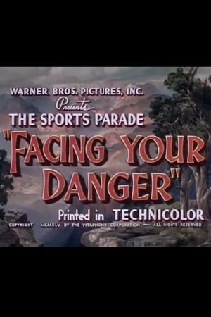 Facing Your Danger's poster