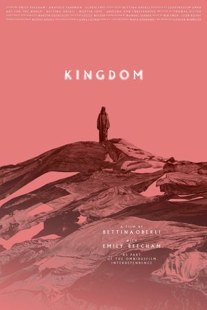 Kingdom's poster image