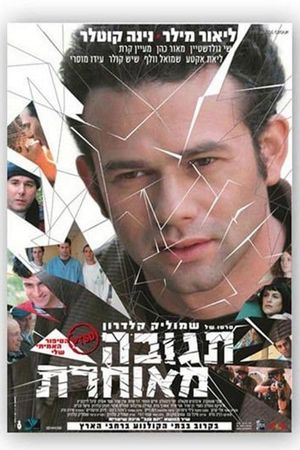 Delayed Reaction's poster