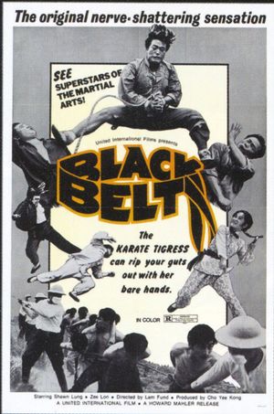 Black Belt's poster