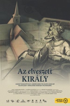 Az elveszett király's poster image