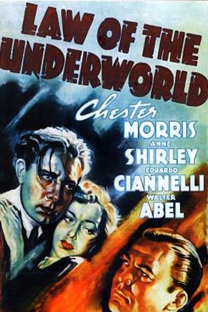 Law of the Underworld's poster