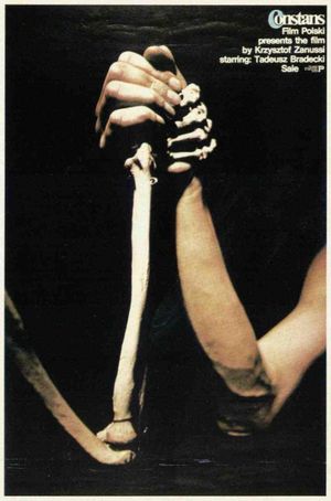 The Constant Factor's poster