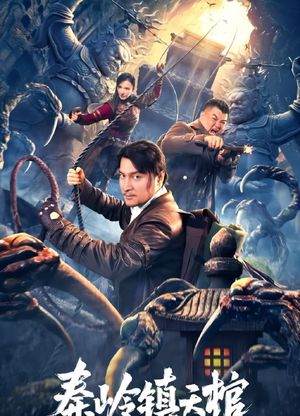 The Sky Coffin in Qinling Town's poster