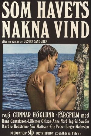 One Swedish Summer's poster image